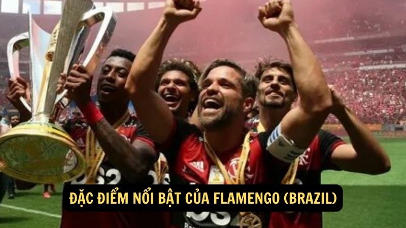 Đặc điểm nổi bật của Flamengo (Brazil)