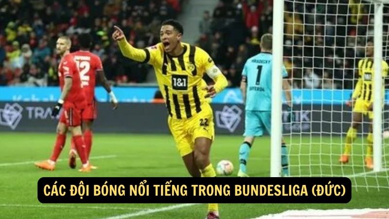 Các đội bóng nổi tiếng trong Bundesliga (Đức)