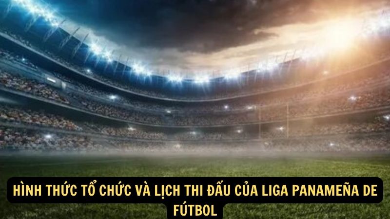 Hình thức tổ chức và lịch thi đấu của Liga Panameña de Fútbol