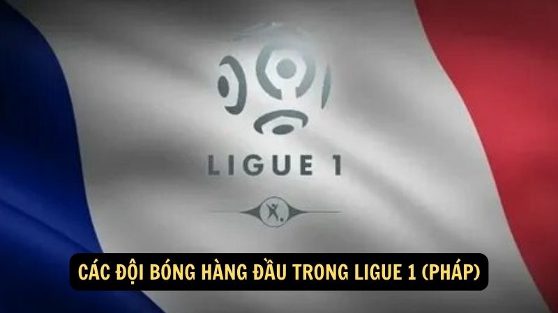 Các đội bóng hàng đầu trong Ligue 1 (Pháp)