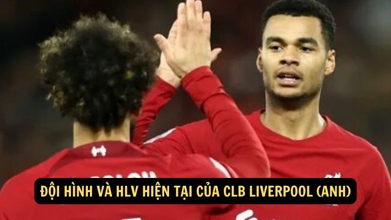 Đội hình và HLV hiện tại của CLB Liverpool (Anh)