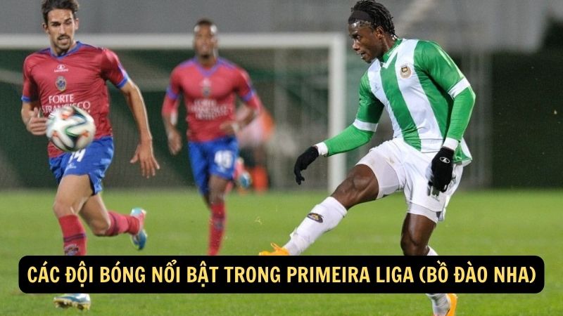 Các đội bóng nổi bật trong Primeira Liga (Bồ Đào Nha)