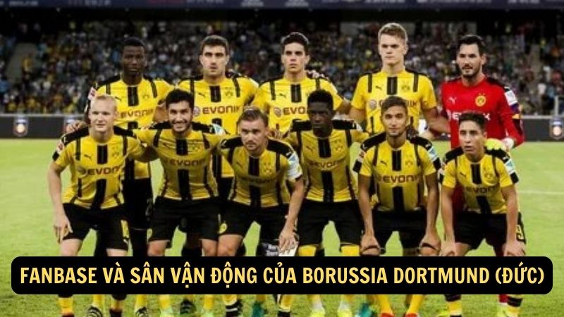 Fanbase và sân vận động của Borussia Dortmund (Đức)