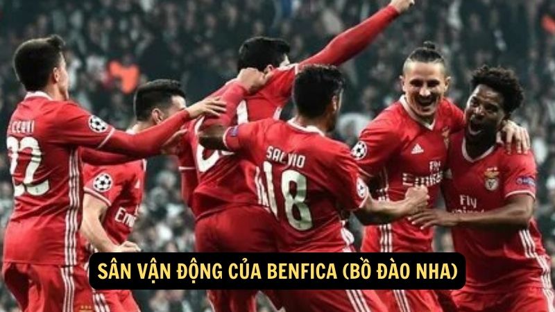 Sân vận động của Benfica (Bồ Đào Nha)