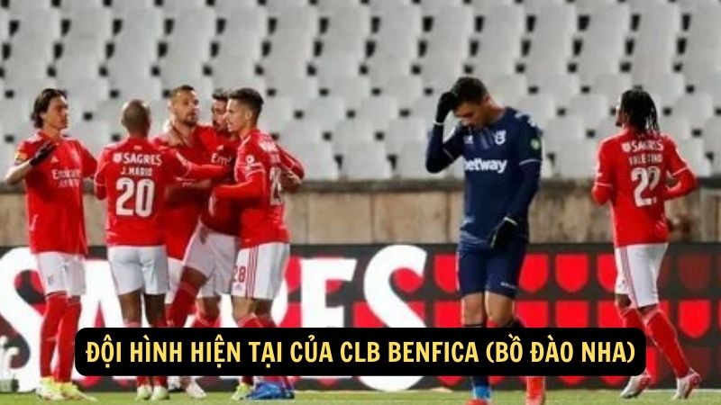 Đội hình hiện tại của CLB Benfica (Bồ Đào Nha)