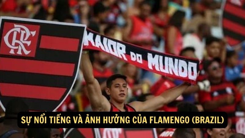 Sự nổi tiếng và ảnh hưởng của Flamengo (Brazil)