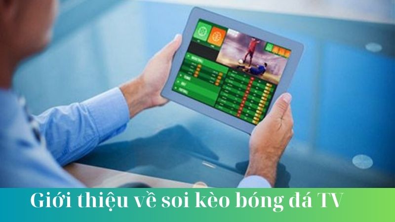 Cách thức soi kèo bóng đá TV hiệu quả