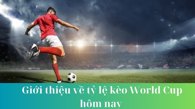 Cách tính tỷ lệ kèo World Cup hôm nay