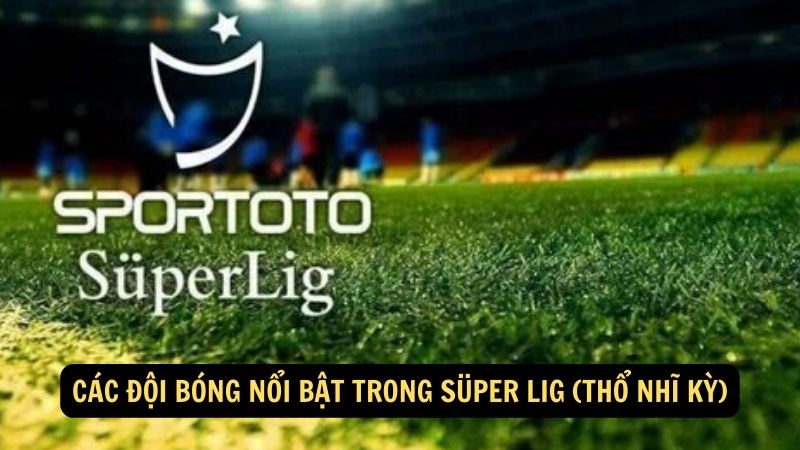 Các đội bóng nổi bật trong Süper Lig (Thổ Nhĩ Kỳ)