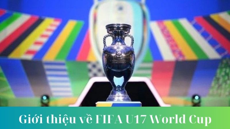 Ảnh hưởng của FIFA U-17 World Cup đối với bóng đá trẻ