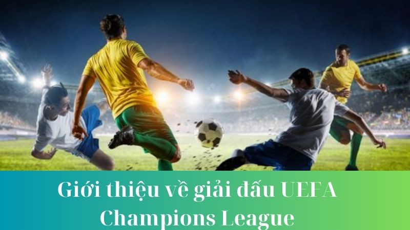 Cơ cấu và Quy tắc Thi đấu của giải đấu UEFA Champions League