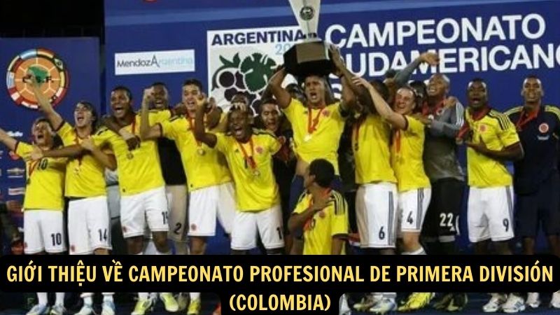 Giới thiệu về Campeonato Profesional de Primera División (Colombia)