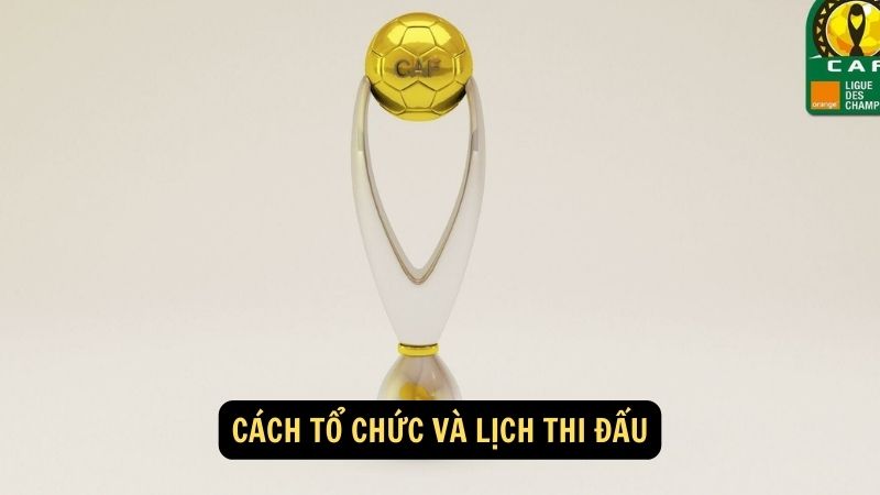 Cách tổ chức và lịch thi đấu